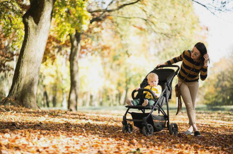 Britax & Romer B-Dual – wózek na wygodne spacery